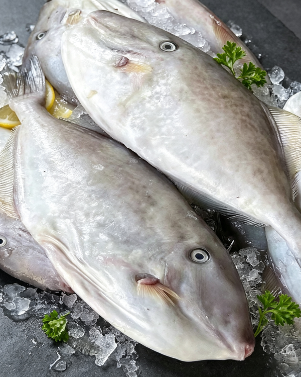 Silver Pomfret